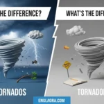 Tornados or Tornadoes
