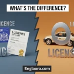 Licence or License