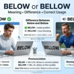 Below or Bellow