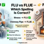 Flu vs Flue